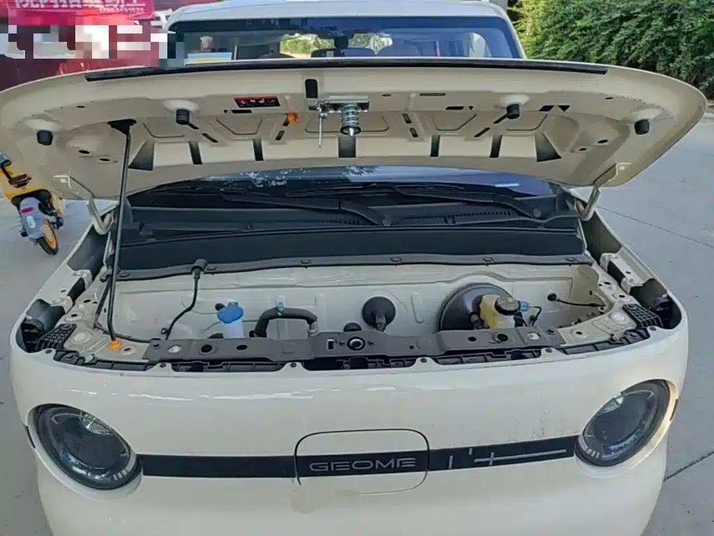 Panda 2025 Panda Mini 210km - Energetic Bear — миниатюра 20