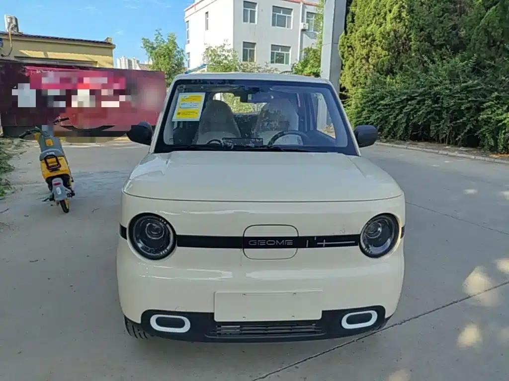 Panda 2025 Panda Mini 210km - Energetic Bear — миниатюра 3