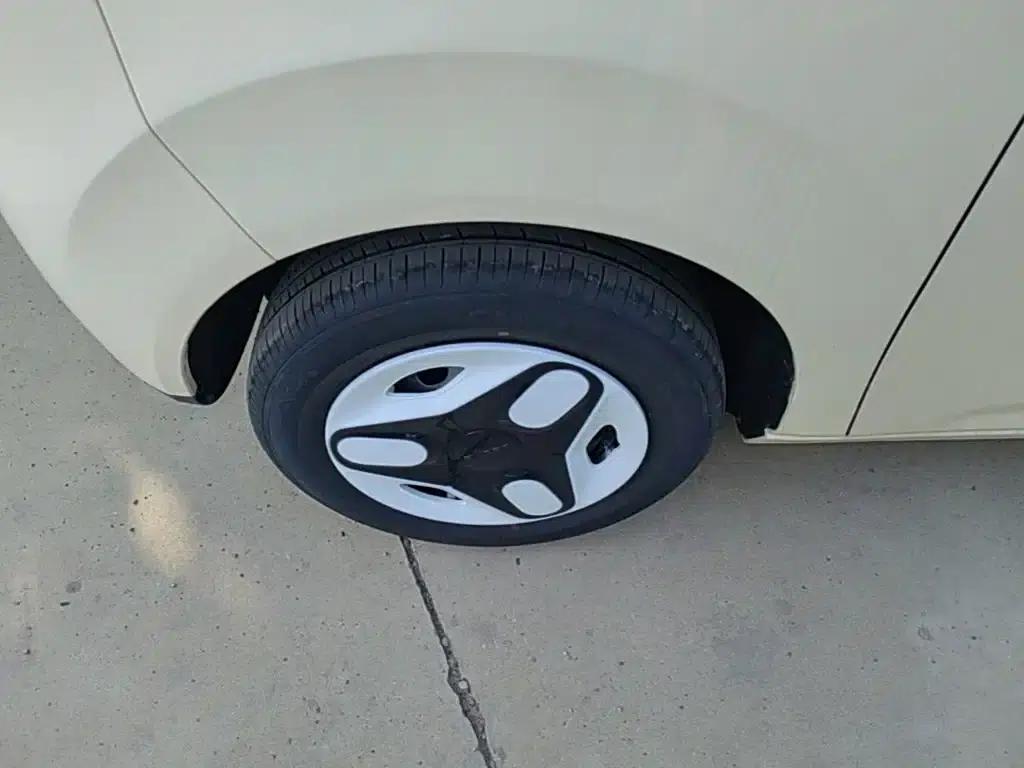 Panda 2025 Panda Mini 210km - Energetic Bear — миниатюра 23