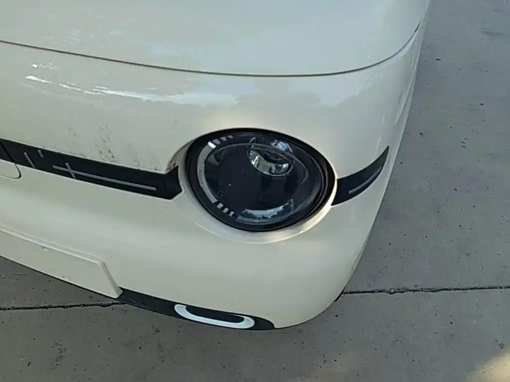 Panda 2025 Panda Mini 210km - Energetic Bear — миниатюра 24