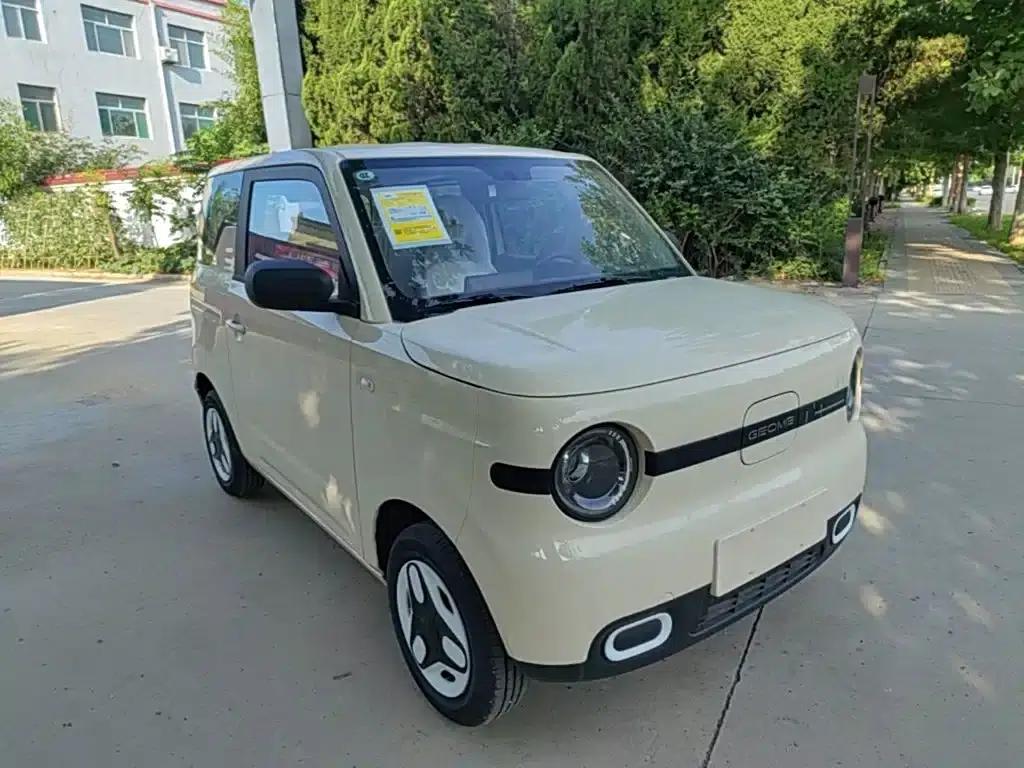 Panda 2025 Panda Mini 210km - Energetic Bear — миниатюра 4