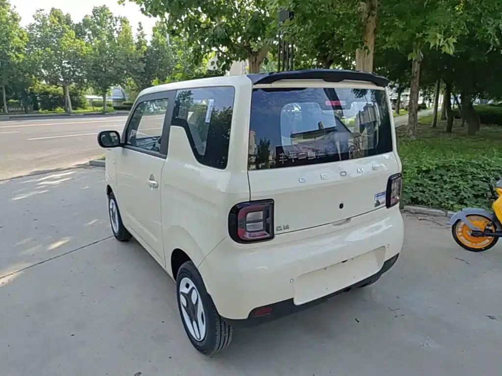 Panda 2025 Panda Mini 210km - Energetic Bear — миниатюра 5