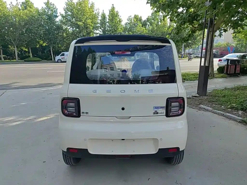 Panda 2025 Panda Mini 210km - Energetic Bear — миниатюра 6
