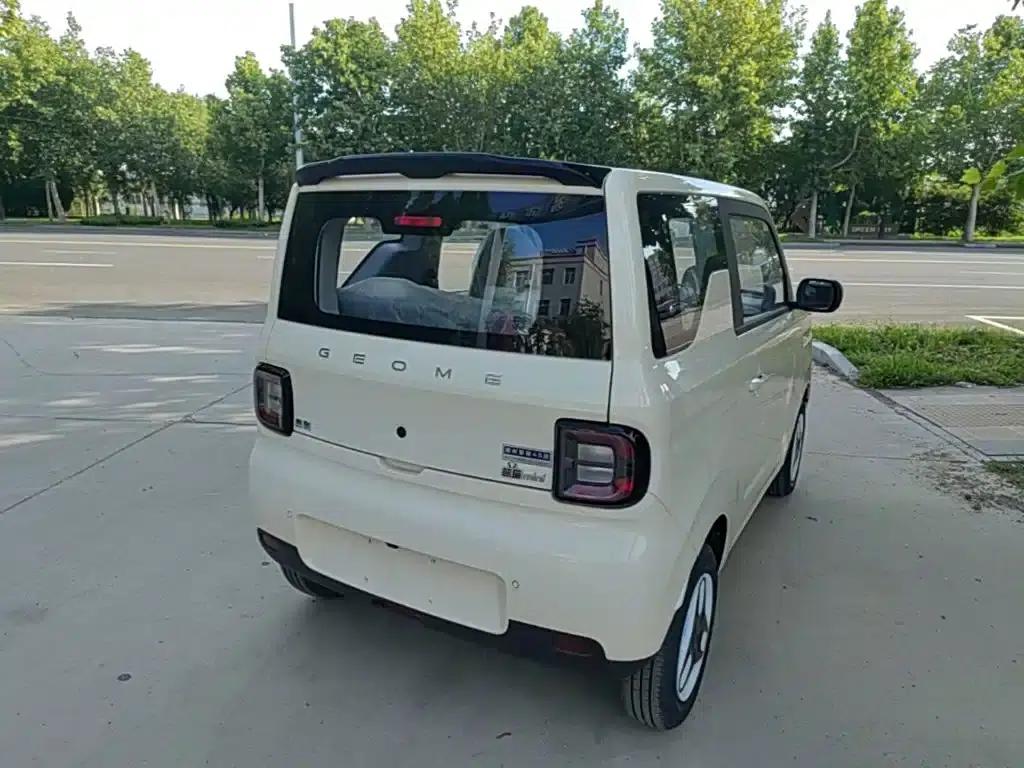 Panda 2025 Panda Mini 210km - Energetic Bear — миниатюра 7