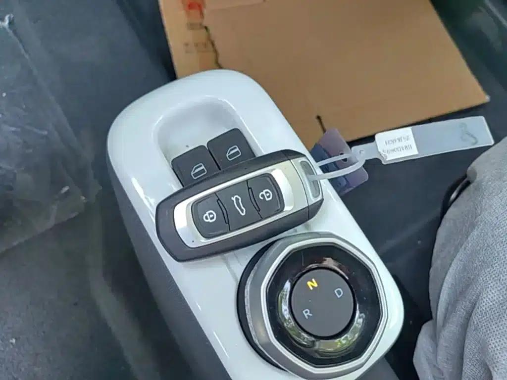 Panda 2025 Panda Mini 210km - Energetic Bear — миниатюра 9