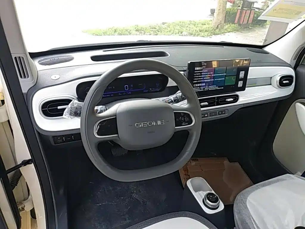 Panda 2025 Panda Mini 210km - Energetic Bear — миниатюра 10