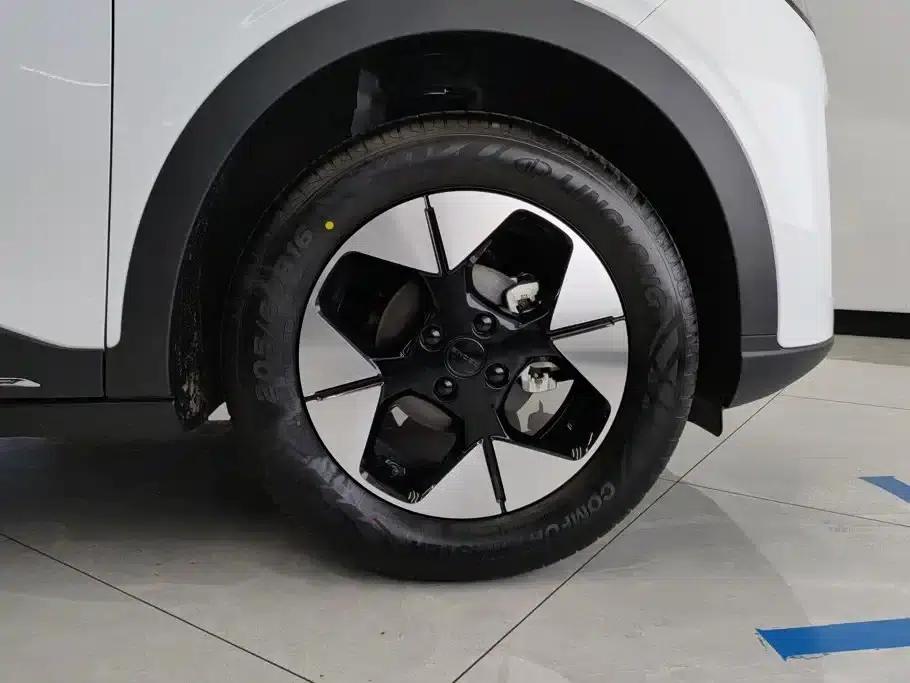 Star Wish 2025 310km Dream Edition — миниатюра 6
