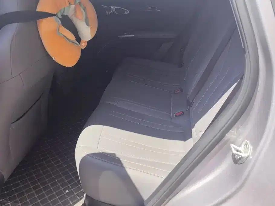 Star Wish 2026 Model 410km Freedom Edition — миниатюра 10