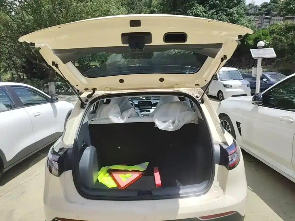 Star Wish 2026 Model 310km Youth Edition — миниатюра 19