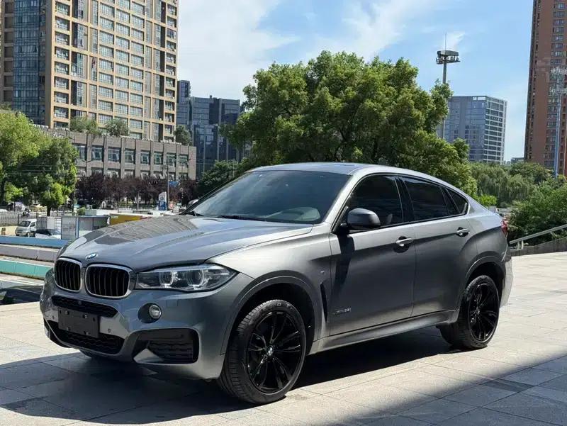 2019 BMW X6 xDrive35i M Sport Package — миниатюра 1