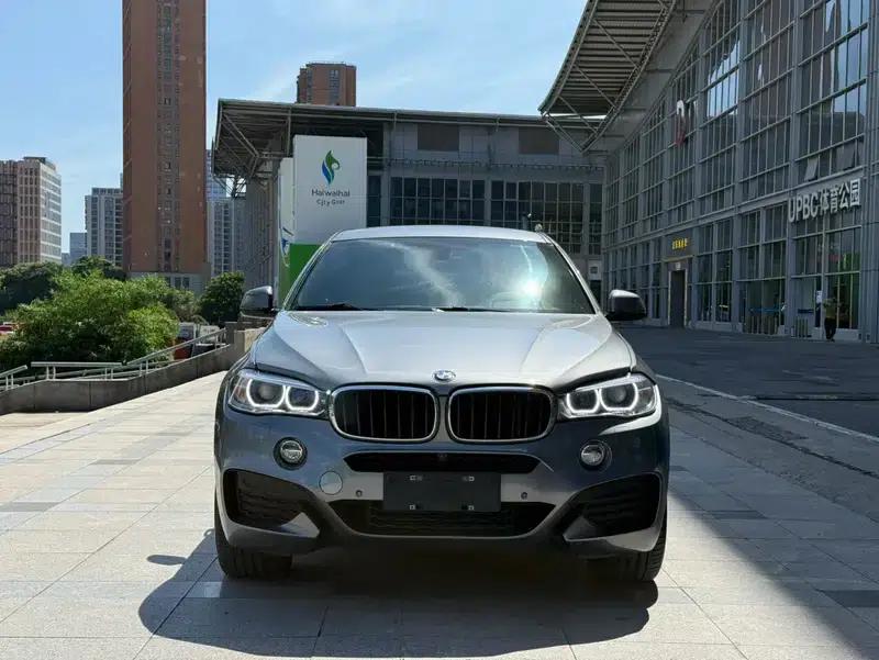 2019 BMW X6 xDrive35i M Sport Package — миниатюра 2