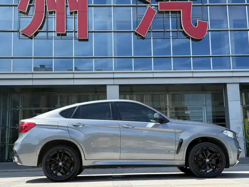 2019 BMW X6 xDrive35i M Sport Package — миниатюра 6