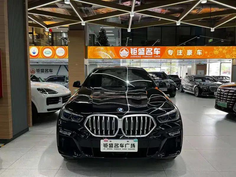 BMW X6 2021 xDrive40i Luxury M Sport Package — миниатюра 2