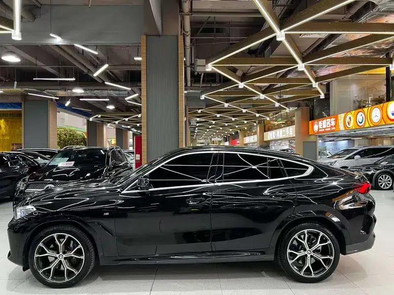 BMW X6 2021 xDrive40i Luxury M Sport Package — миниатюра 3