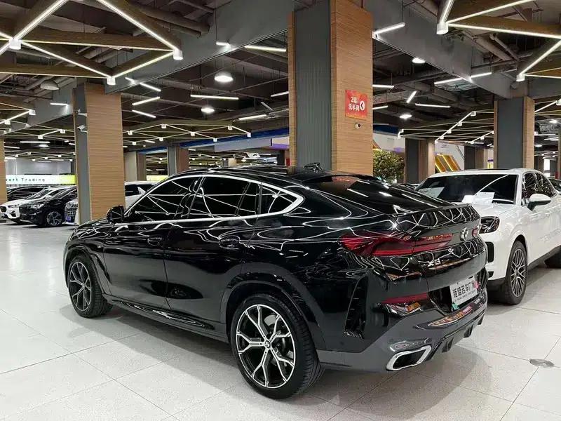 BMW X6 2021 xDrive40i Luxury M Sport Package — миниатюра 4