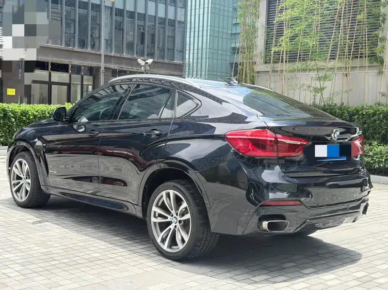BMW X6 2018 xDrive35i M Sport Luxury — миниатюра 4