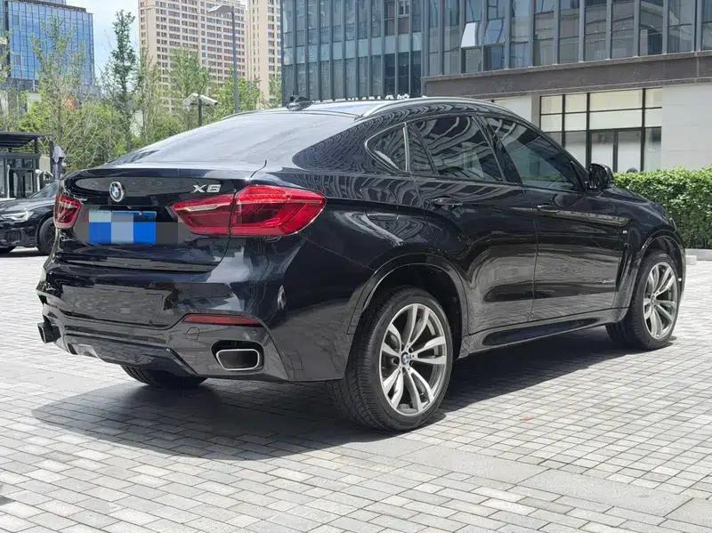 BMW X6 2018 xDrive35i M Sport Luxury — миниатюра 6