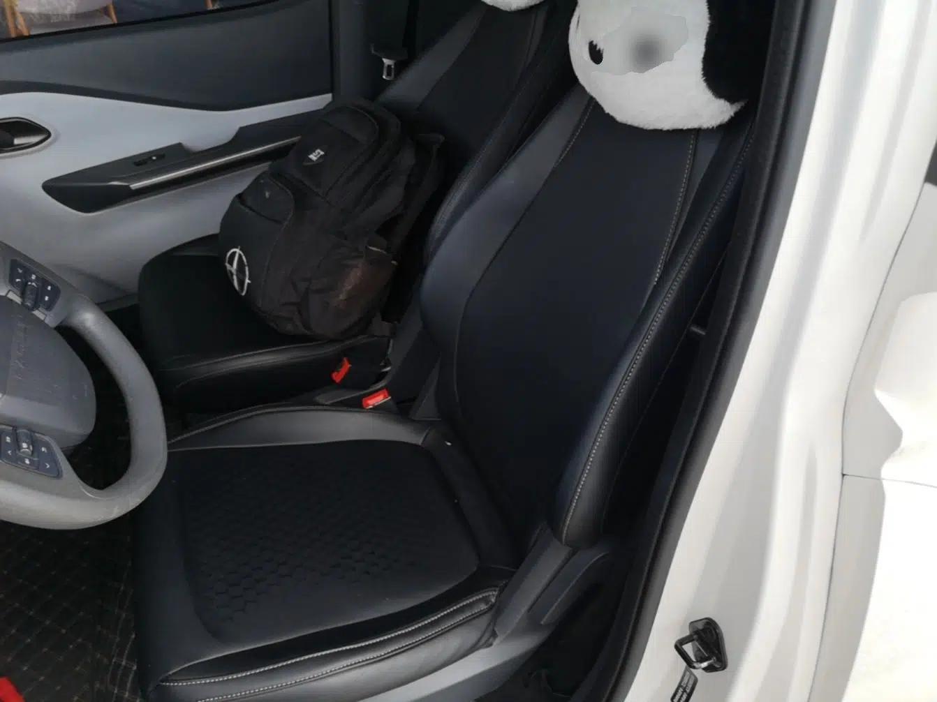 Baojun E200 2020 305KM Smart Drive Version — миниатюра 20
