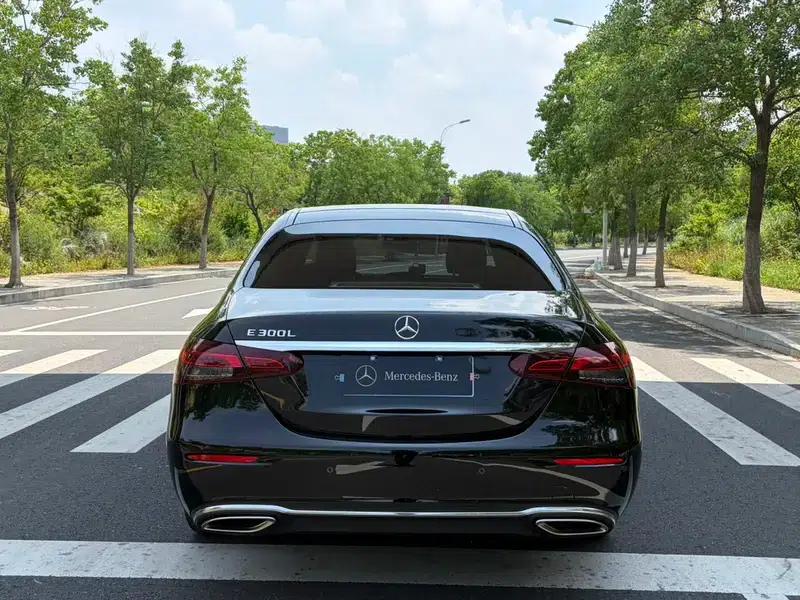 Mercedes-Benz E-Class 2022 Model, Third Facelift, E 300 L Luxury Sedan — миниатюра 6