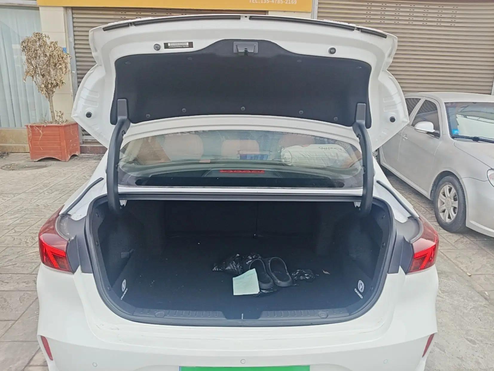 CHANGAN Eado 2022 PLUS Blue Whale NE 1.4T GDI DCT Flagship Edition — миниатюра 22