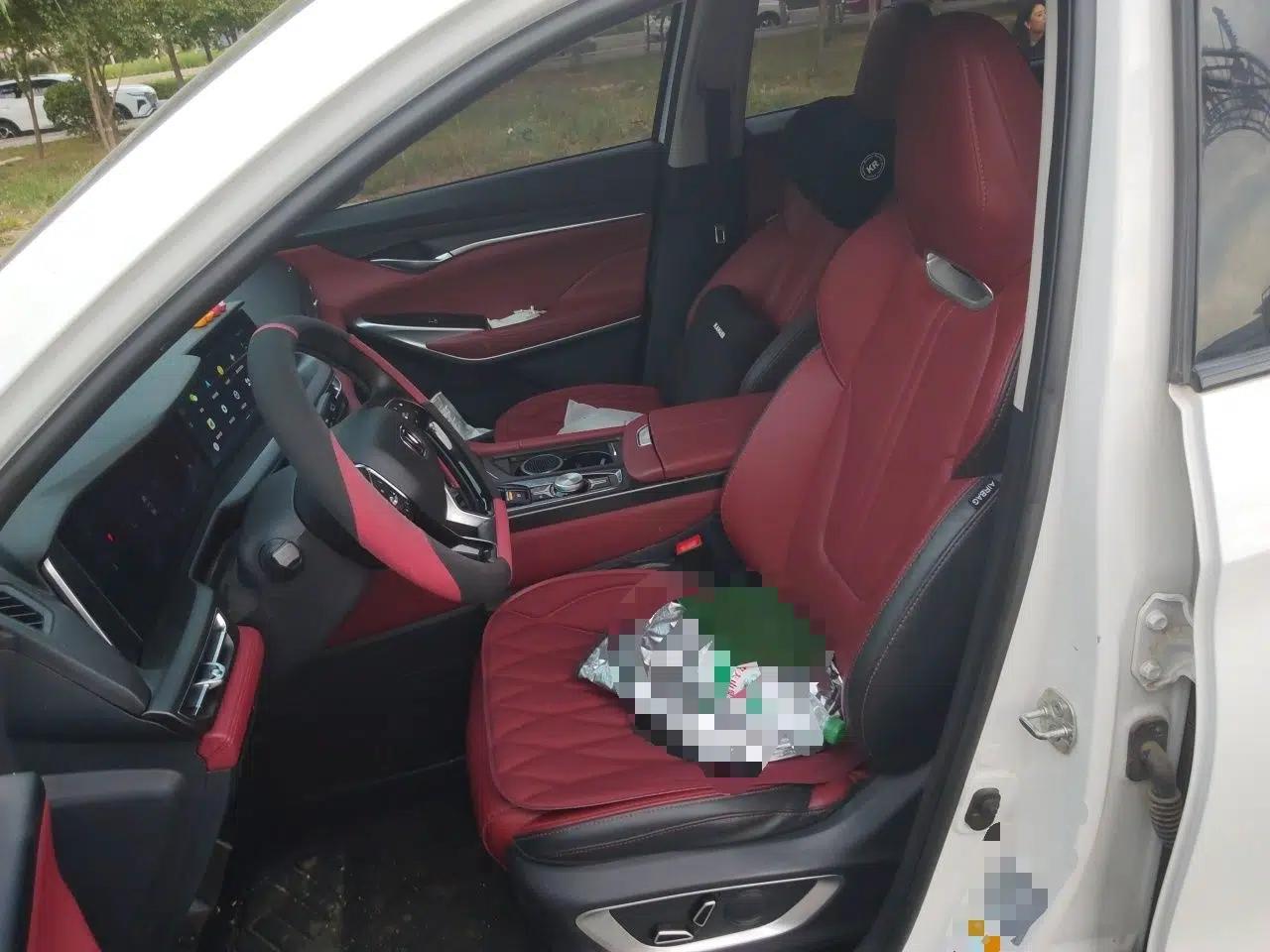 CHANGAN CS75 PLUS 2021 2.0T Automatic Pilot Version — миниатюра 15