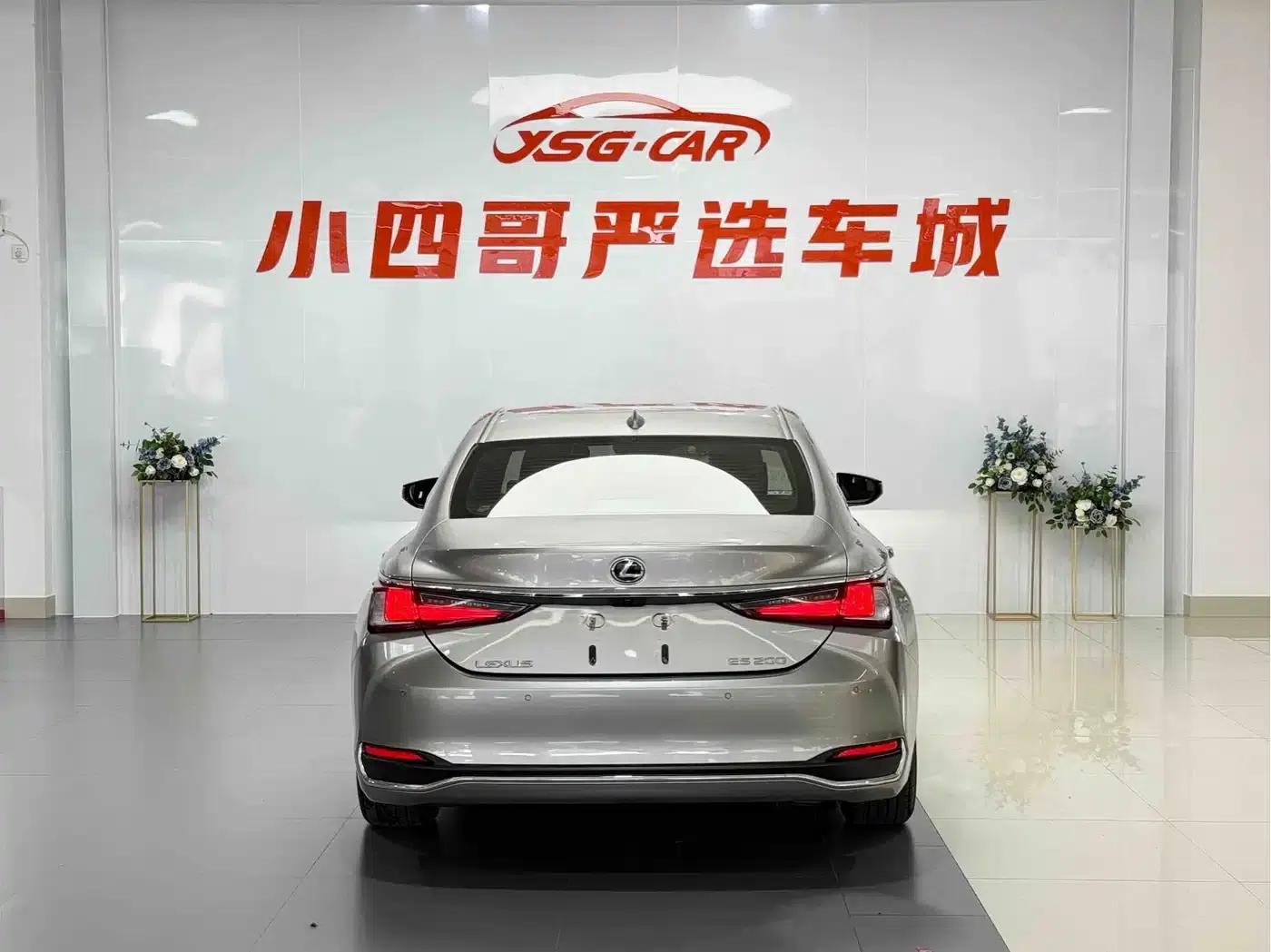 Lexus ES 2018 200 Premium Edition (China V emission standard) — миниатюра 5