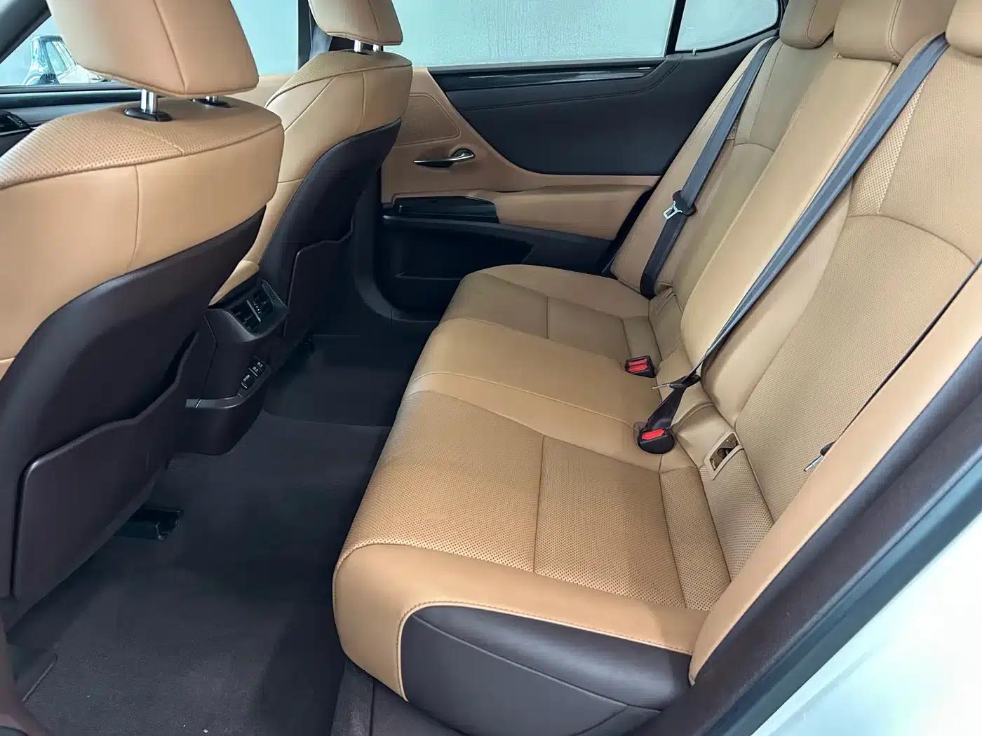 Lexus ES 2018 260 Premium Edition (China VI Emission Standard) — миниатюра 7