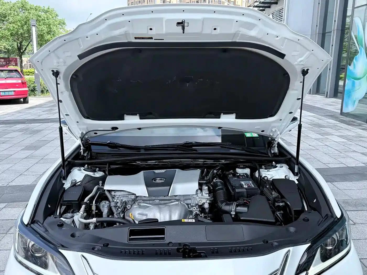Lexus ES 2018 200 Premium Edition (China V emission standard) — миниатюра 19