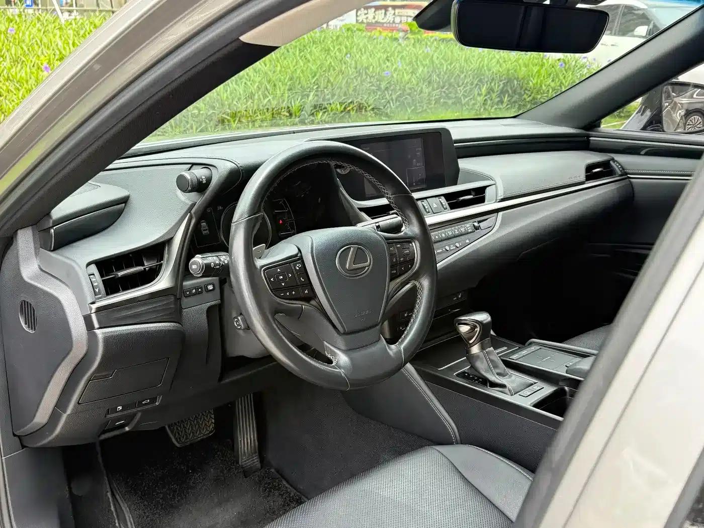 Lexus ES 2018 300h Premium Edition (China V emission standard) — миниатюра 15