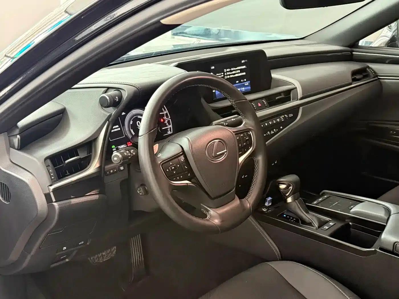 Lexus ES 2020 300h Premium Edition (China V Emission Standard) — миниатюра 16