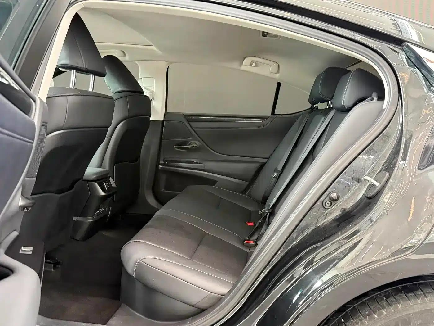 Lexus ES 2020 300h Premium Edition (China V Emission Standard) — миниатюра 8