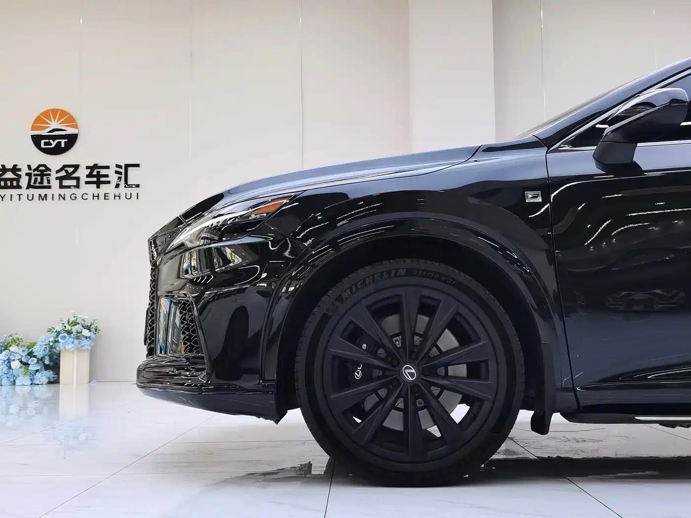 Lexus RX 500h AWD F Sport Performance — миниатюра 30