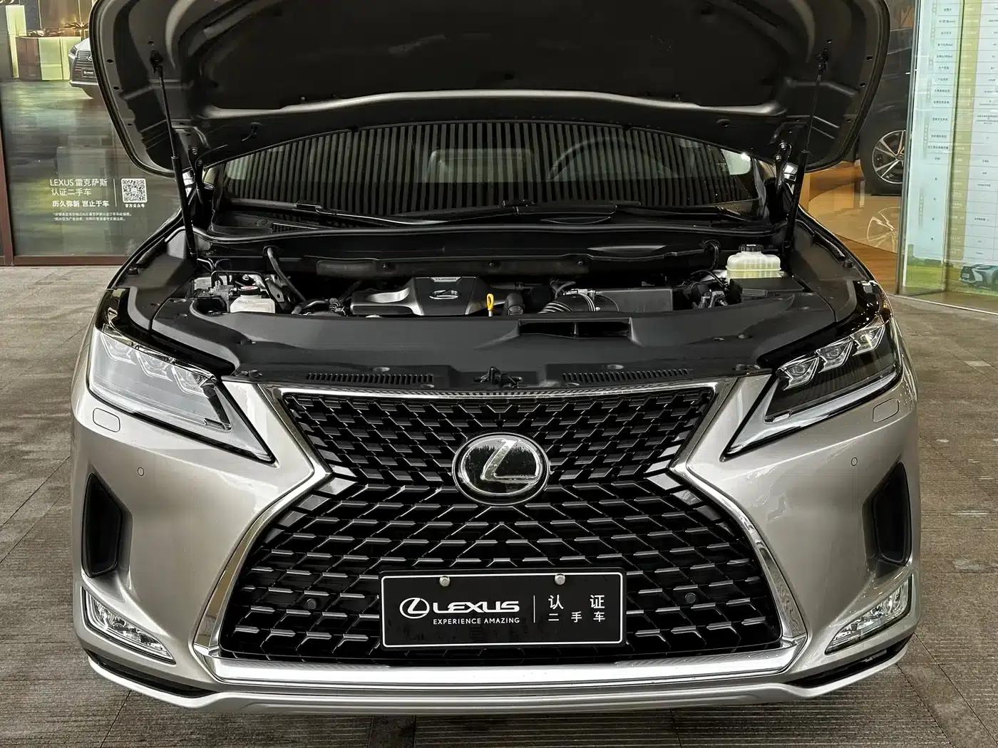 Lexus RX 2020 Facelift 300 AWD Elegant Edition — миниатюра 14