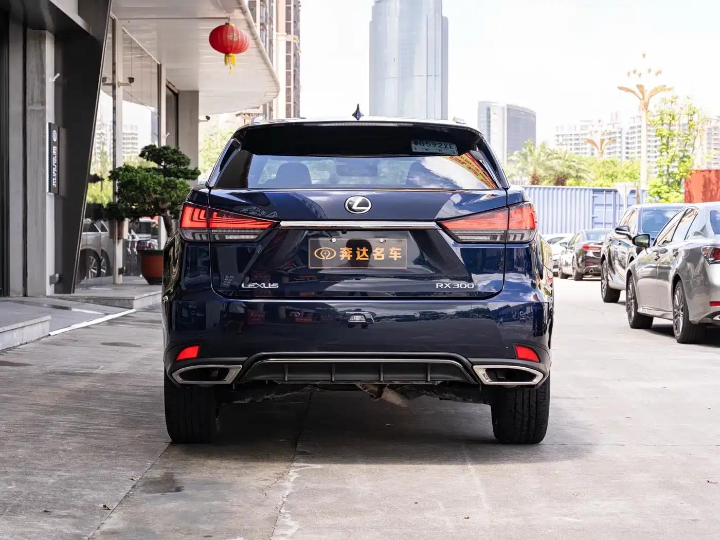 Lexus RX 300 AWD F Sport 2021 — миниатюра 6
