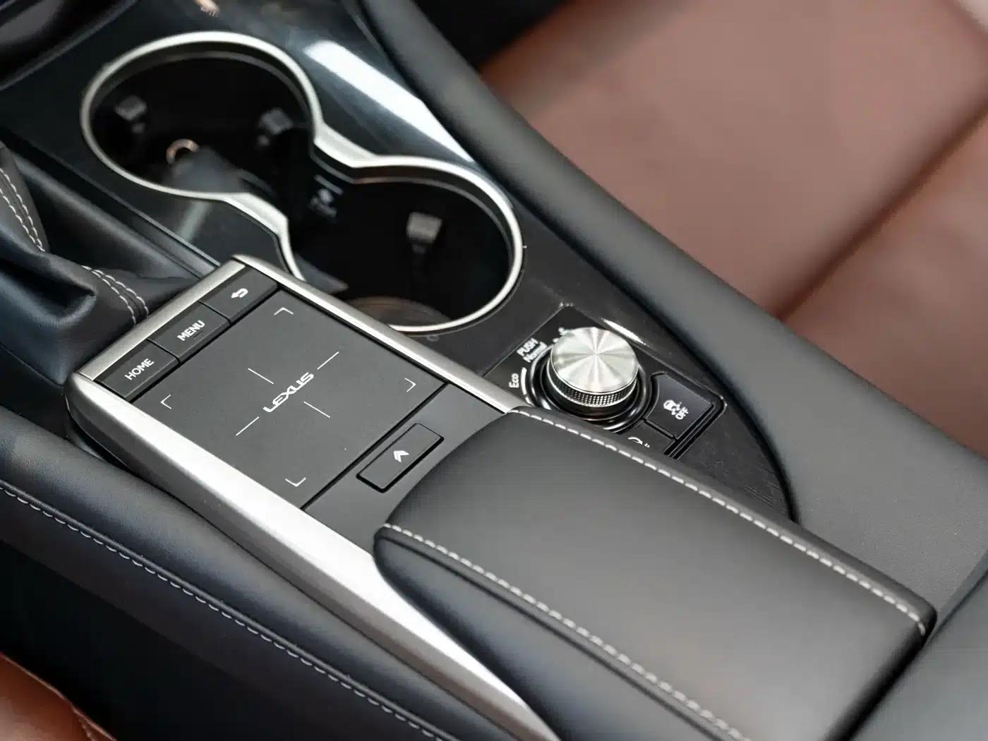Lexus RX 2020 Facelift 300 2WD Elite Edition — миниатюра 18