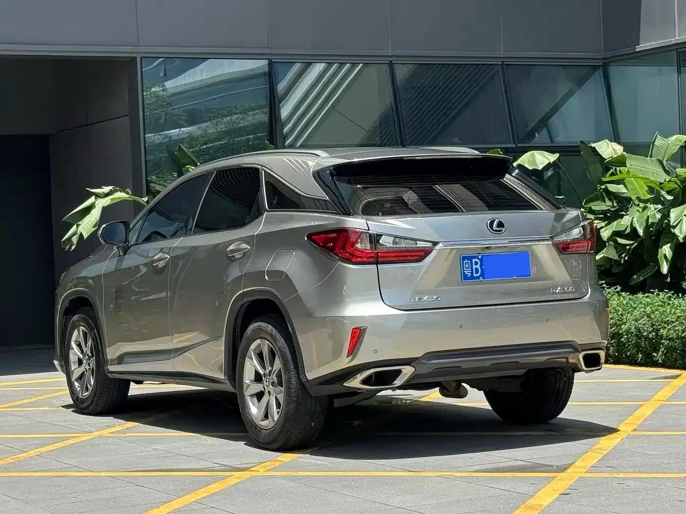 Lexus RX 2020 300 2WD Elite Edition (China VI Emission Standard) — миниатюра 7
