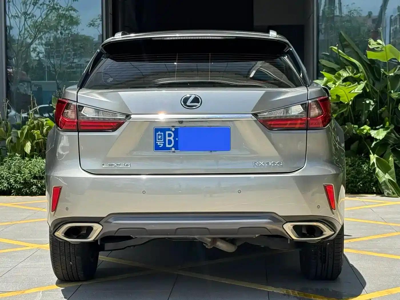 Lexus RX 2020 300 2WD Elite Edition (China VI Emission Standard) — миниатюра 8