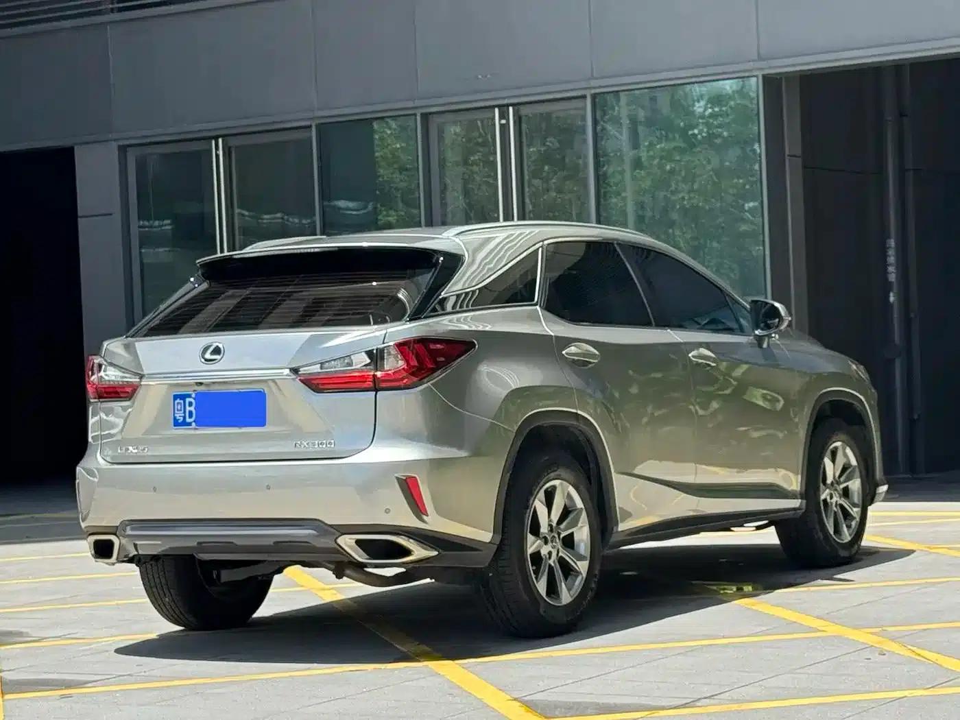 Lexus RX 2020 300 2WD Elite Edition (China VI Emission Standard) — миниатюра 9