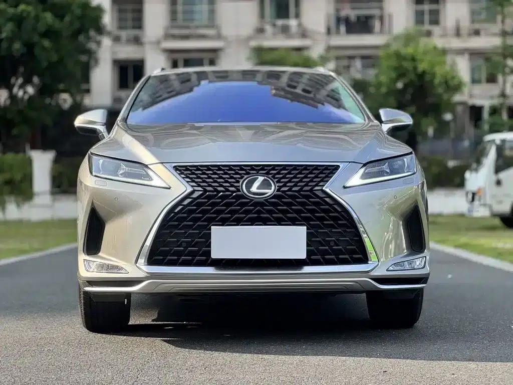 Lexus RX 2020 300 2WD Elite Edition (China V Emission Standard) — миниатюра 2