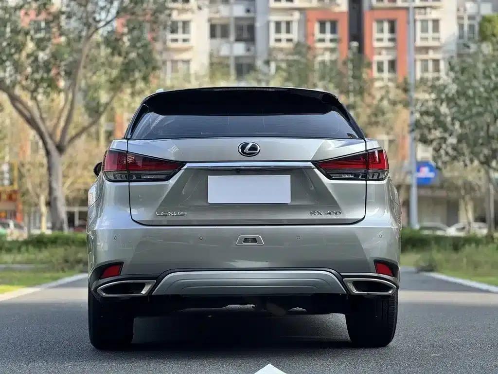 Lexus RX 2020 300 2WD Elite Edition (China V Emission Standard) — миниатюра 8
