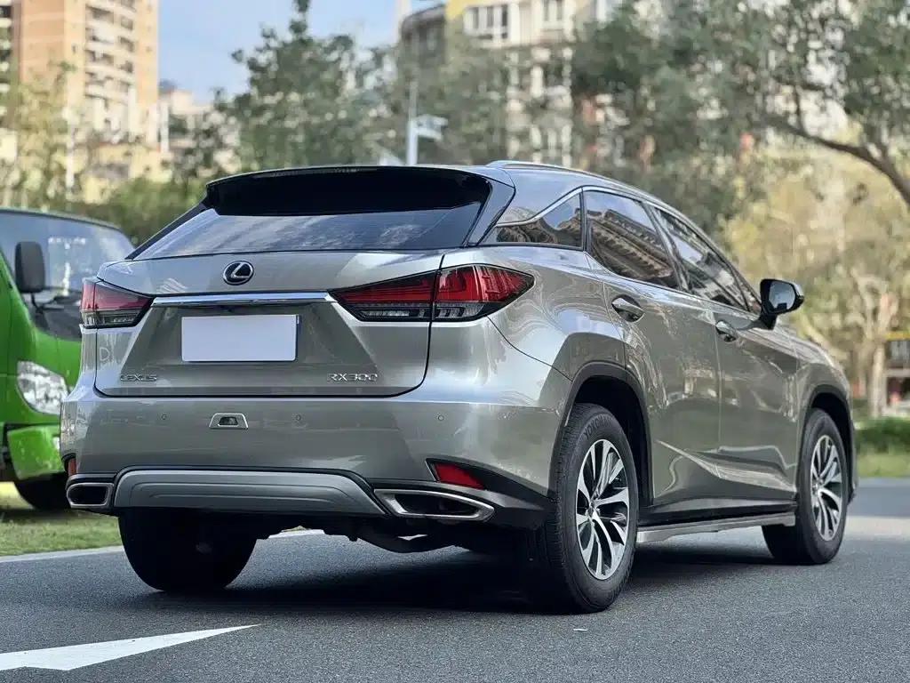 Lexus RX 2020 300 2WD Elite Edition (China V Emission Standard) — миниатюра 9