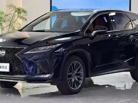 Lexus RX 300 AWD F Sport 2021 — миниатюра 1