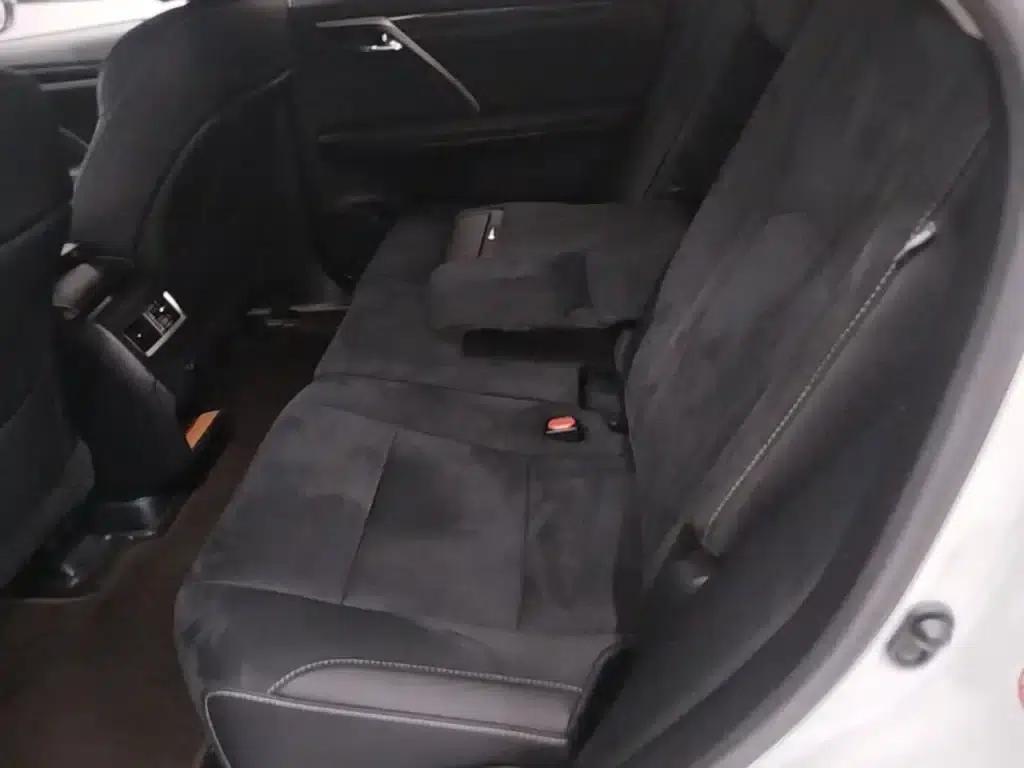 Lexus RX 2016 300 2WD Elite Edition (China V Emission Standard) — миниатюра 17