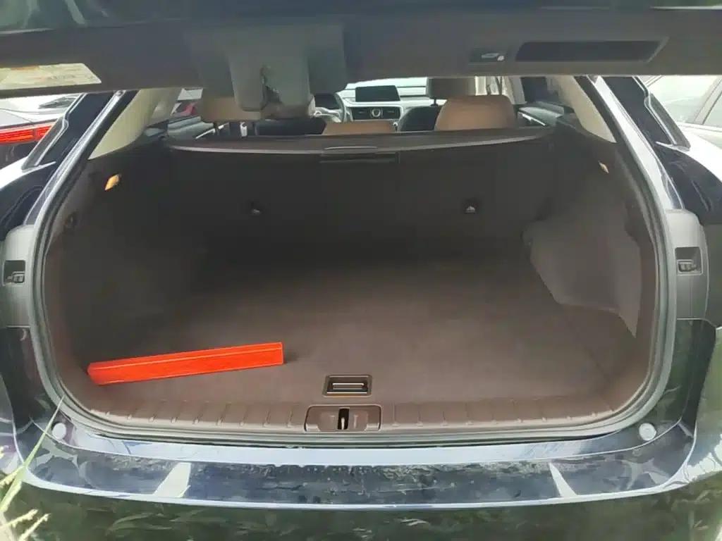 Lexus RX 2016 300 AWD Elegant Edition (China V Emission Standard) — миниатюра 19