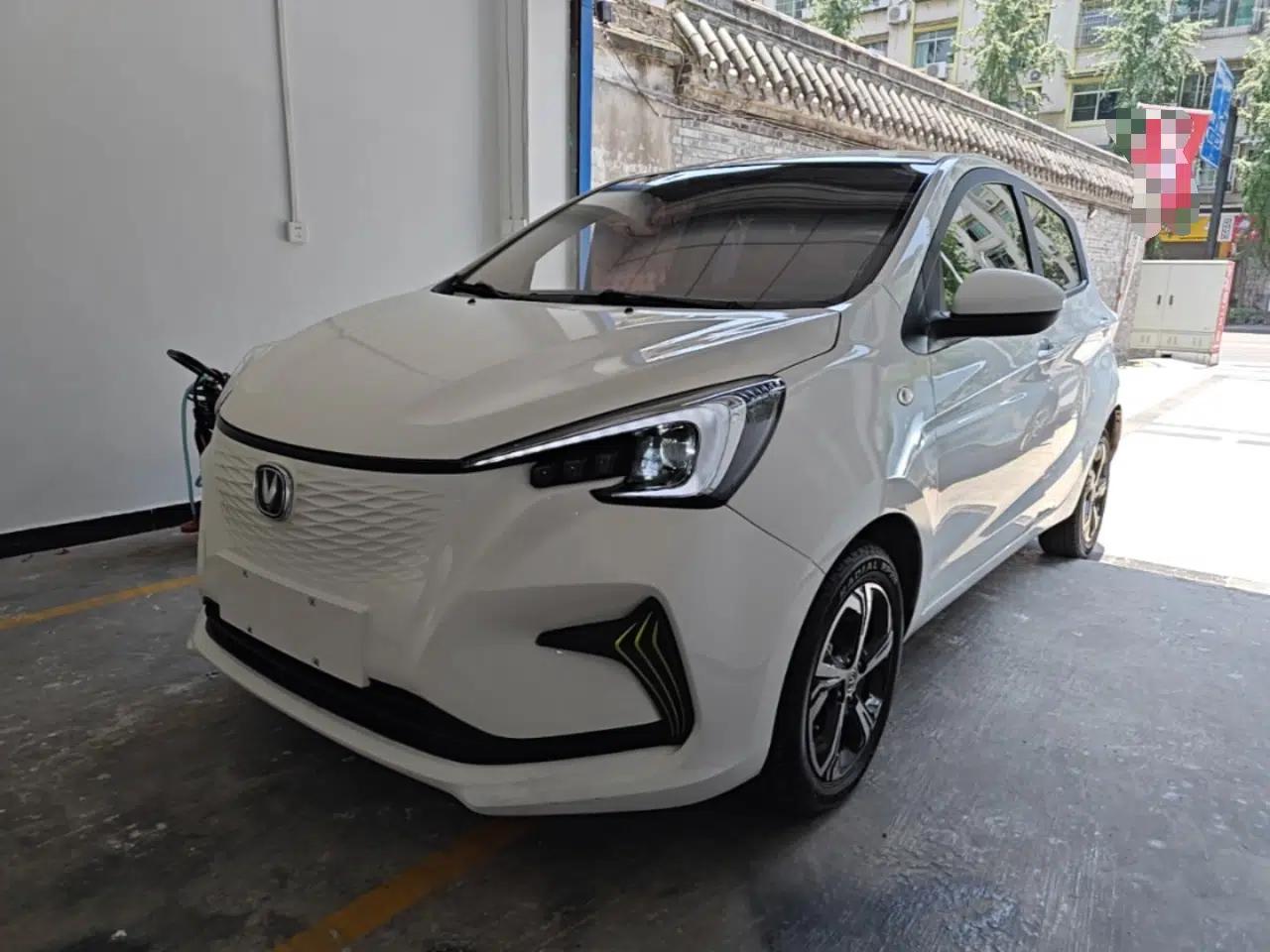 CHANGAN Benni E-Star 2020 Heartbeat Edition NMC Lithium — миниатюра 1