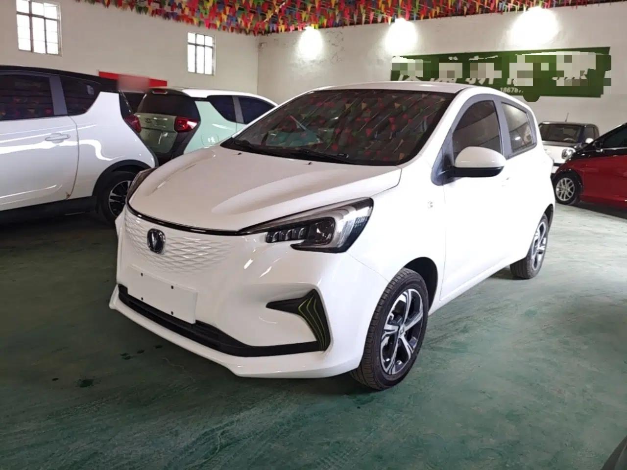 CHANGAN Benni E-Star 2022 National Edition Colorful Limited Edition (Fast-Charging Version) Lithium Iron Phosphate — миниатюра 1