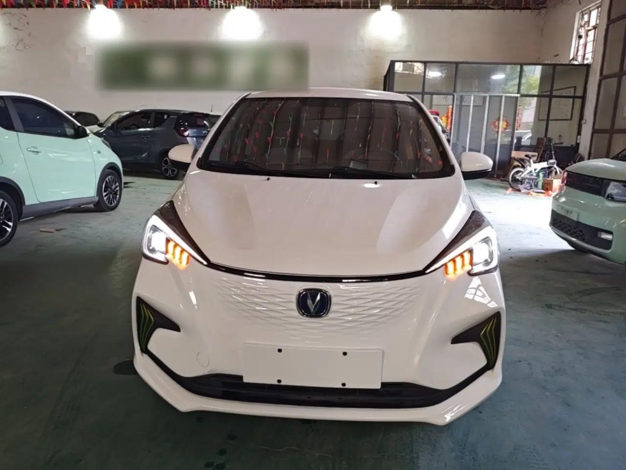 CHANGAN Benni E-Star 2022 National Edition Colorful Limited Edition (Fast-Charging Version) Lithium Iron Phosphate — миниатюра 2