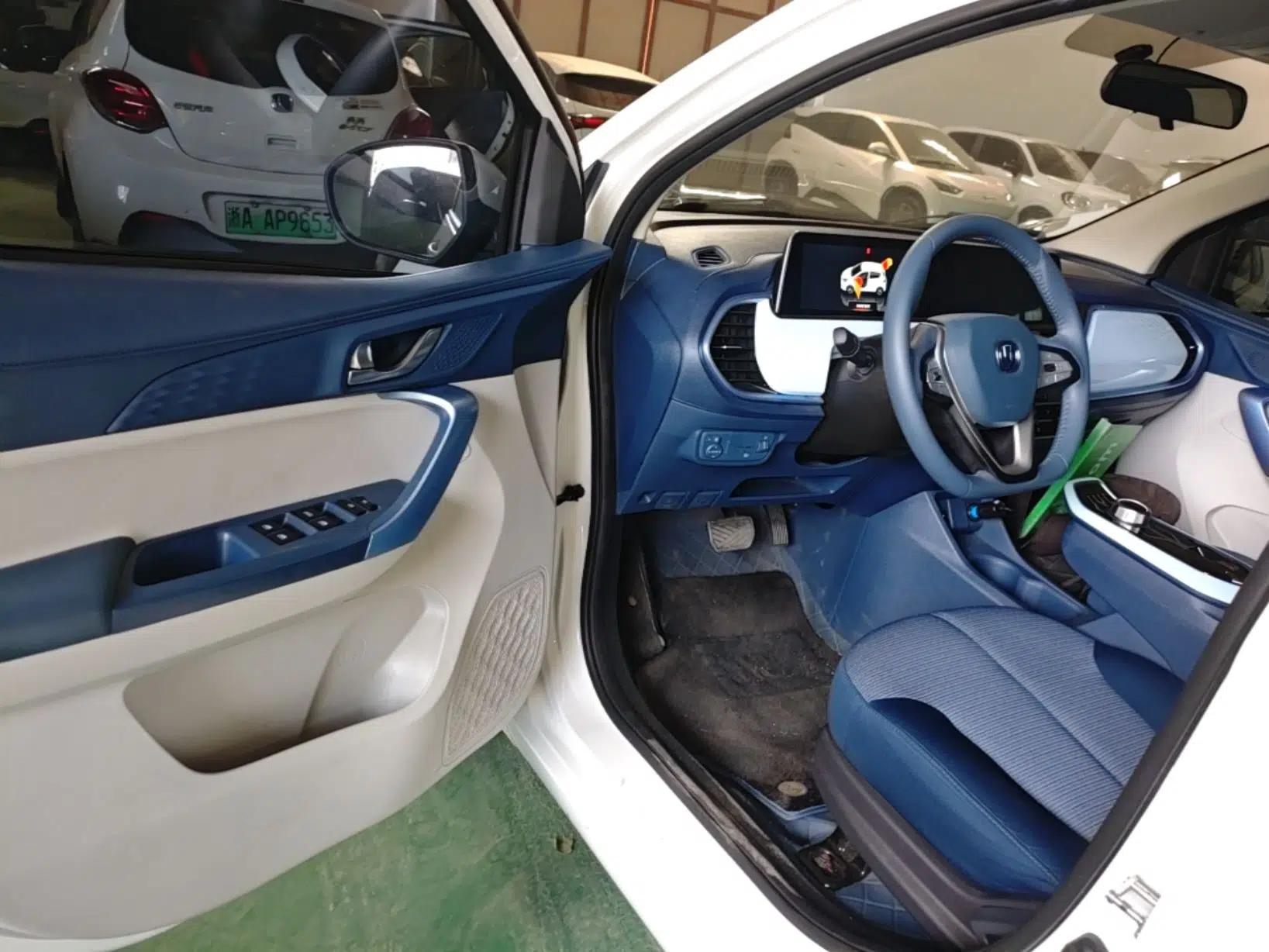 CHANGAN Benni E-Star 2022 National Edition Colorful Limited Edition (Fast-Charging Version) Lithium Iron Phosphate — миниатюра 18