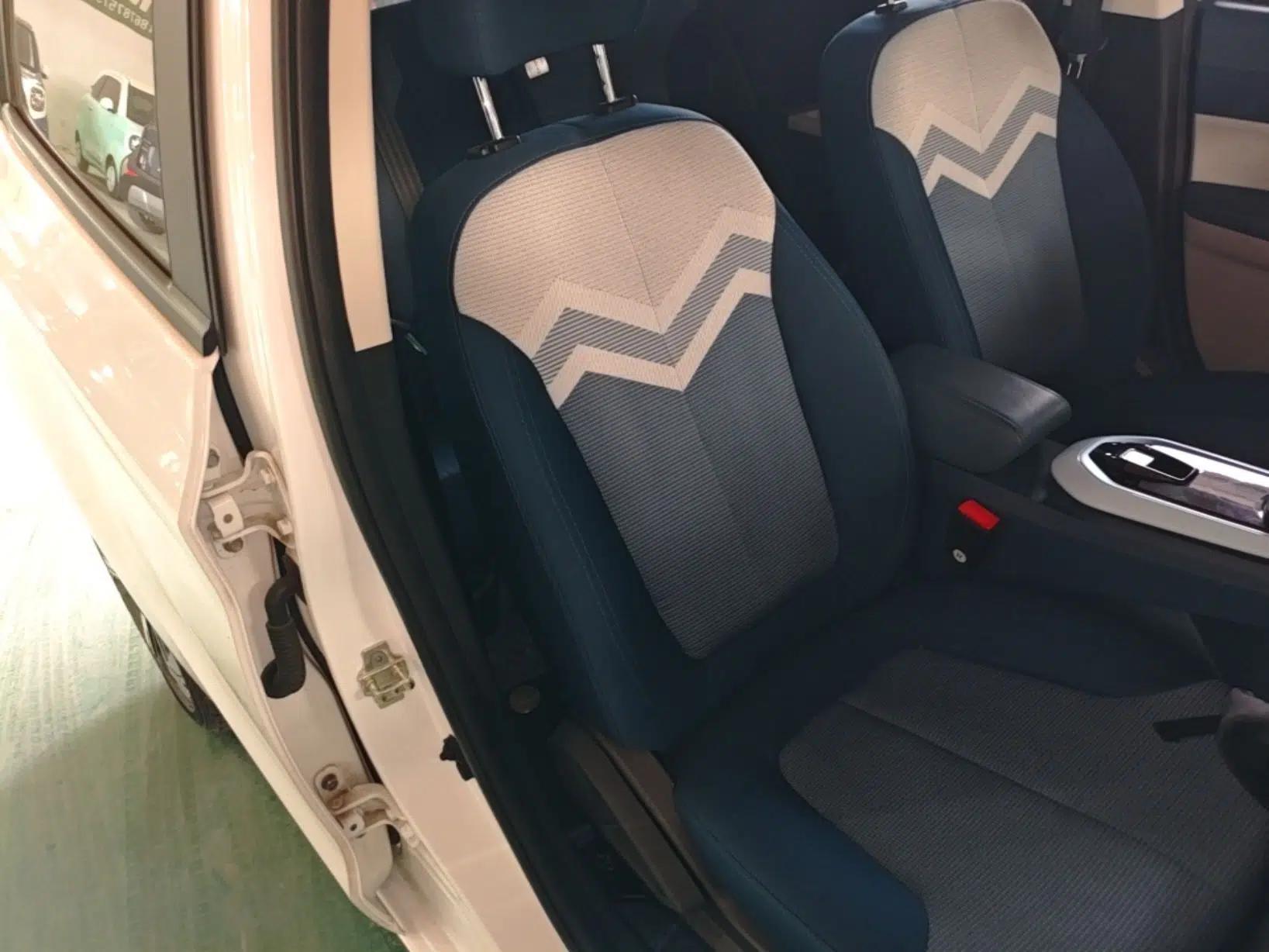 CHANGAN Benni E-Star 2022 National Edition Colorful Limited Edition (Fast-Charging Version) Lithium Iron Phosphate — миниатюра 19