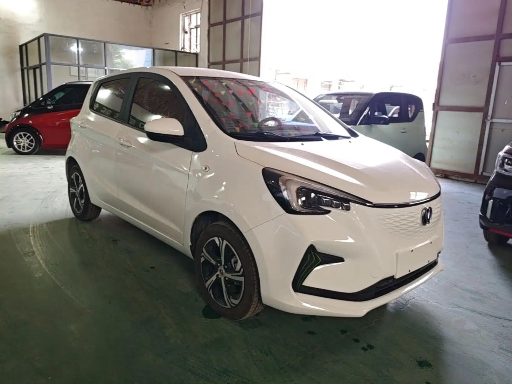 CHANGAN Benni E-Star 2022 National Edition Colorful Limited Edition (Fast-Charging Version) Lithium Iron Phosphate — миниатюра 3